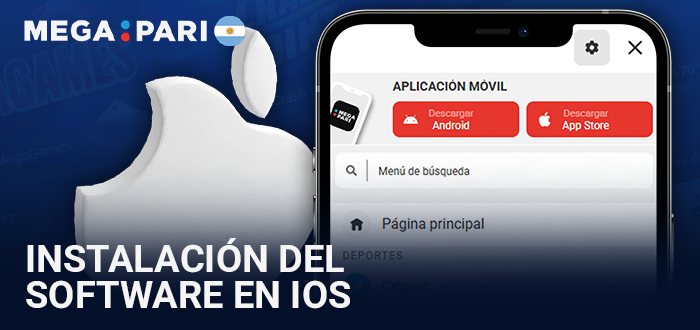 Instrucciones para instalar la app en iPhone e iOS
